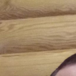 �������, �������, 39 ���