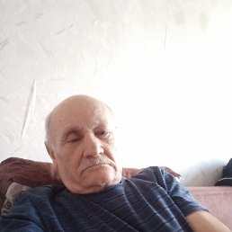 , 67, 