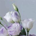 ���� �������@, �������� - ��������� 19 ������� 2026 � ������ ������ ��������