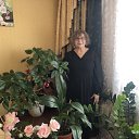 ���� ������, ��� - ��������� 1 ������ 2025 � ������ ���� ����������