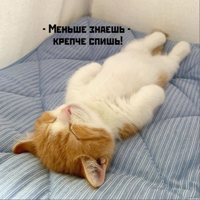       - 16  2025  21:18 - 4