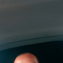 , 31, 