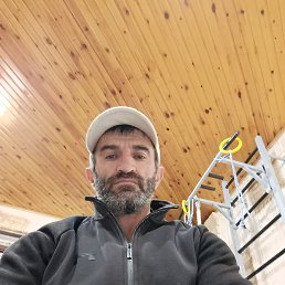 , 49, 