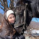 ���� ��������� ������������, ������ - ��������� 8 ������� 2025 � ������ ���� ����������