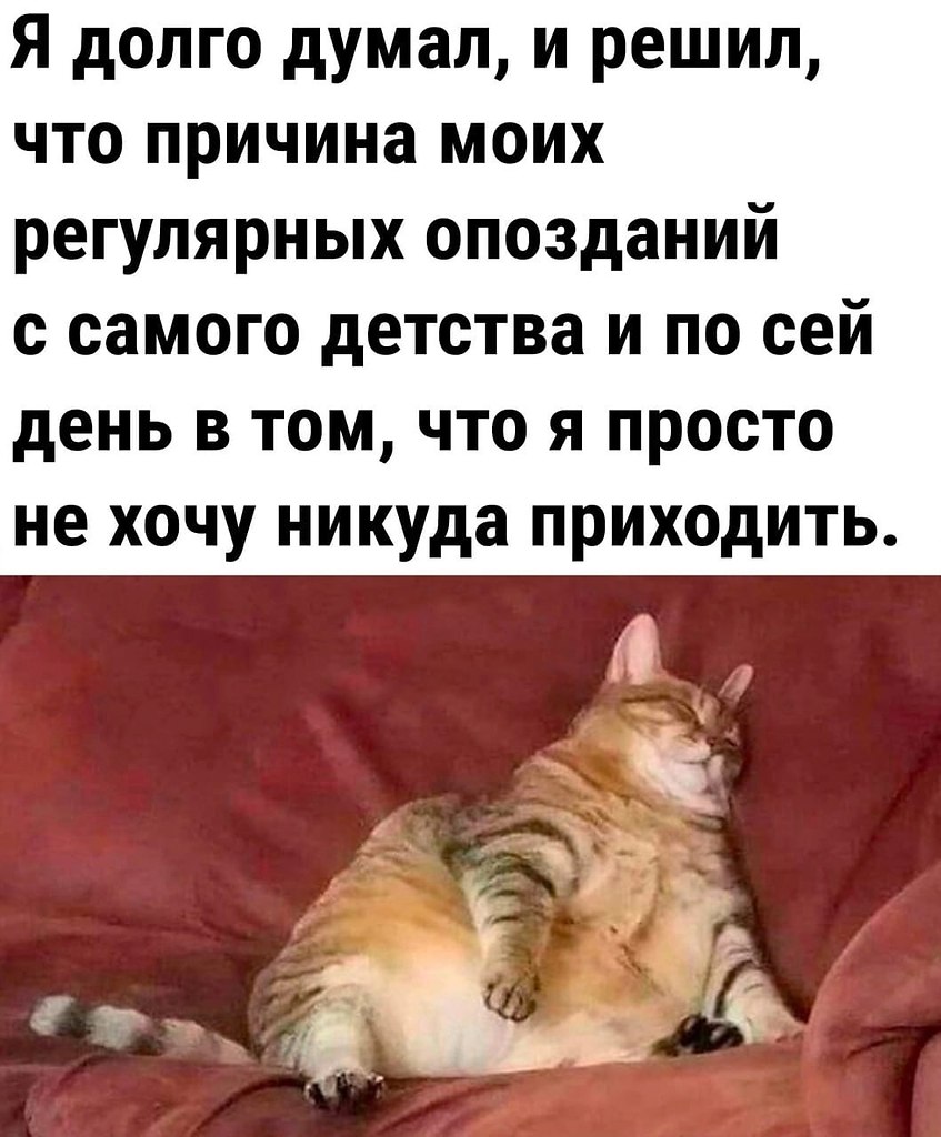  - 28  2025  14:47