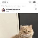 ���� ����, �����������, 44 ���� - ��������� 8 ��� 2026 � ������ ���� ����������