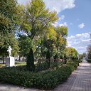 ���� ������, ������, 52 ���� - ��������� 17 �������� 2025 � ������ ���� ����������