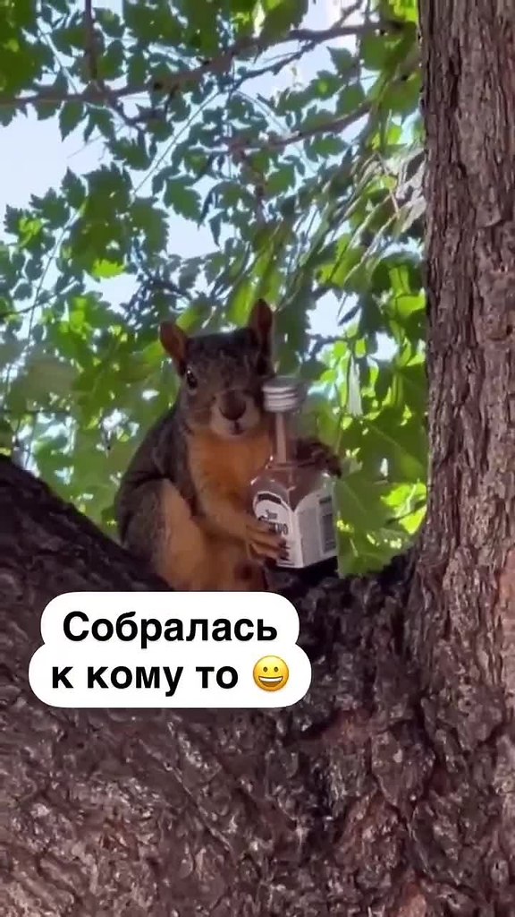  ,      .. - 2