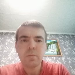 , 38 , 