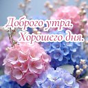   ))  !!!, , 70  -  20  2025    