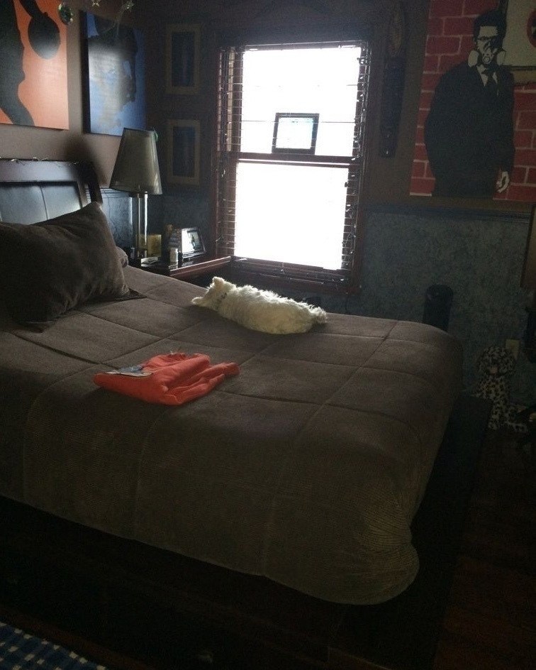 Я переехала в другой город. Теперь мама постоянно отправляет мне фотографии, как наша собака спит на ...