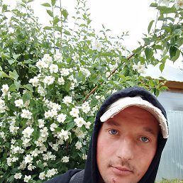 , 32, 