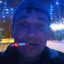 ��������, �����������, 37 ���