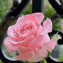 ���� Y, ������� - ��������� 23 ������� 2025 � ������ ���� ����������