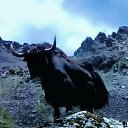 ���� ����, ���������, 48 ��� - ��������� 12 ������� 2023 � ������ ���� ����������