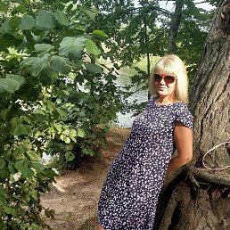 , 48, 