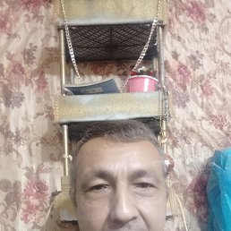 , 62, 