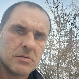 �����, ������, 43 ����