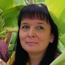 �������, ���������, 53 ����