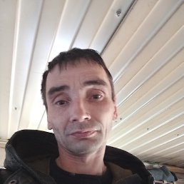 , 41, ,  