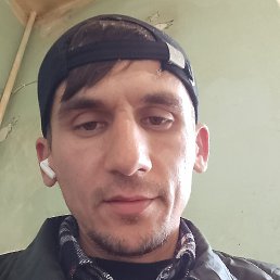 , 26, 