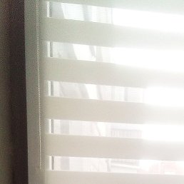 ����, ������ ��������, 59 ���