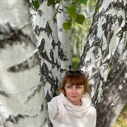 ���� �����, ������������, 50 ��� - ��������� 11 ������� 2026