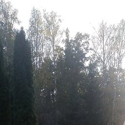 �����, ����, 53 ����