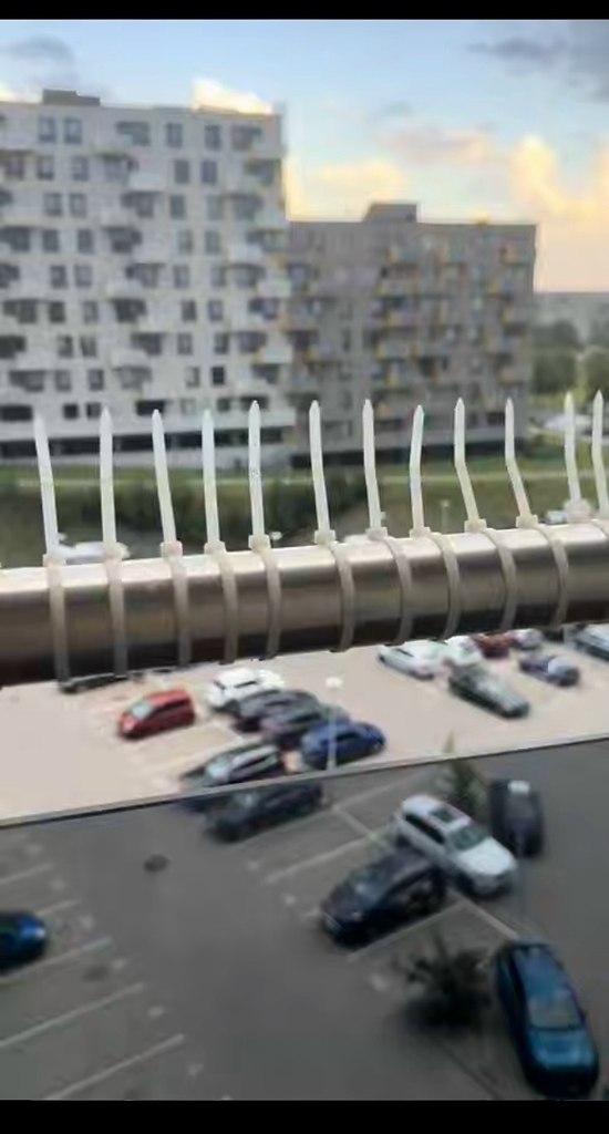 ����� �� ����������� � �������