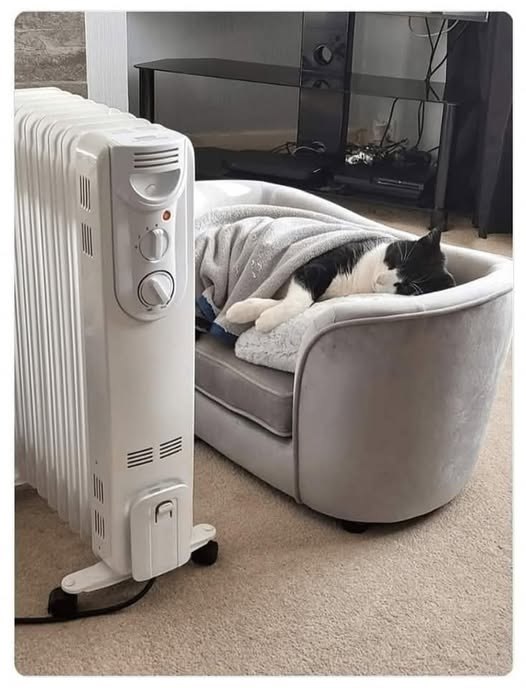 ����� �� ����� �������...