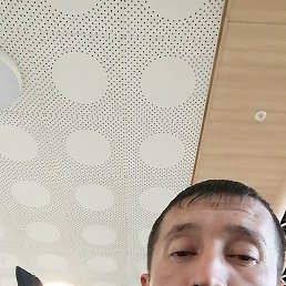 ����, �����������, 37 ���