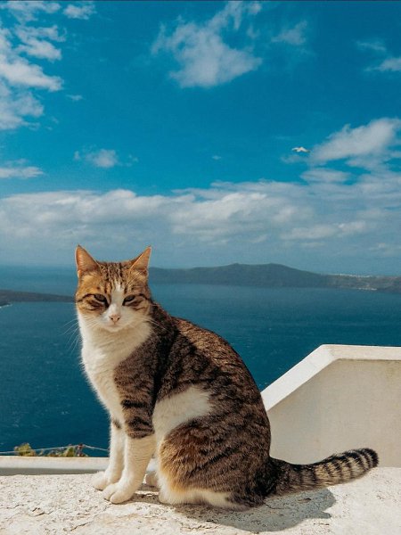 ������ �� ��������� ����� ���� ������ ����� - 5