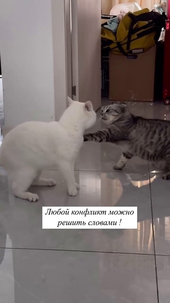     !)