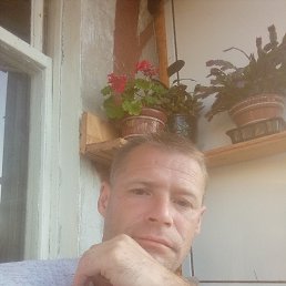 , 45, 