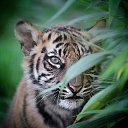 ���� ������, �����-��������� - ��������� 25 ������ 2025