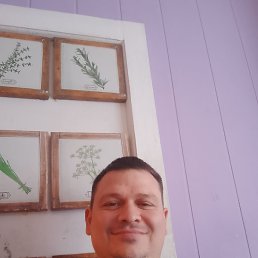 ���� ��������� �������, �����-���������, 40 ��� - ��������� 1 ���� 2025