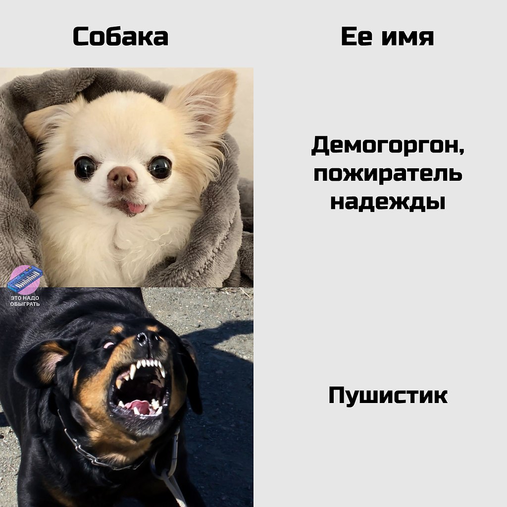   - 13  2025  14:41