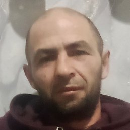 �����, ����, 43 ����