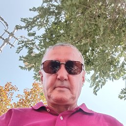 , 64, 