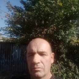 , 53, 