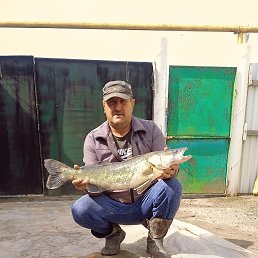  , 53, 