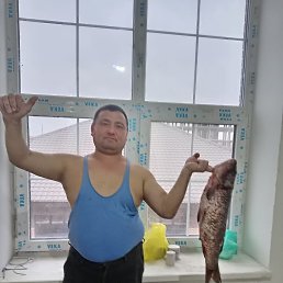 , 40 , 