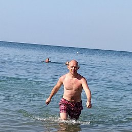  , 43, 