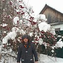 ���� �������, �����, 50 ��� - ��������� 2 ����� 2026 � ������ ���� ����������