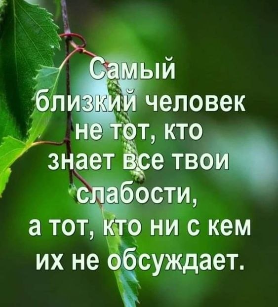 ₪╬═►  ||  ||  ◄═╬₪ - 11  2024  07:53