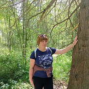 ����, 44 ����, ���������