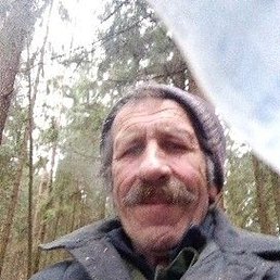 ��������, �����, 65 ���