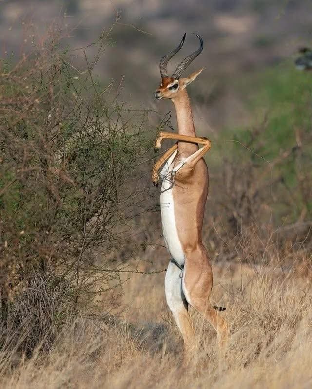 :) ������������� � ��������� � ��������� � ��������� ����, ��������� ����� ������������ �������� �� ...