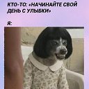 ���� ��������, ������, 49 ��� - ��������� 16 ������� 2026