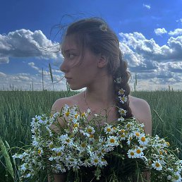 ���������, ������, 24 ����